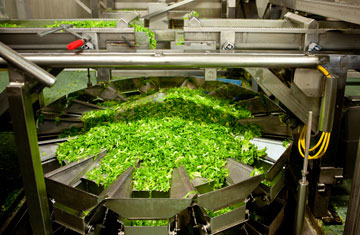 Teun van den Dries/iStockphoto/Thinkstock