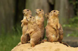 HenkBentlage/iStockphoto/Thinkstock HenkBentlage/iStockphoto/Thinkstock