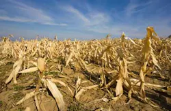 Marccophoto/iStockphoto/Thinkstock Marccophoto/iStockphoto/Thinkstock