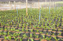 yotrak/iStockphoto/Thinkstock yotrak/iStockphoto/Thinkstock