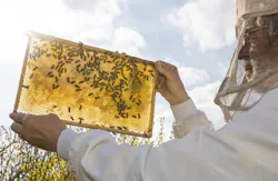 Ikonoklast_Fotografie/iStockphoto/Thinkstock Ikonoklast_Fotografie/iStockphoto/Thinkstock