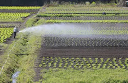 casadaphoto/iStockphoto casadaphoto/iStockphoto