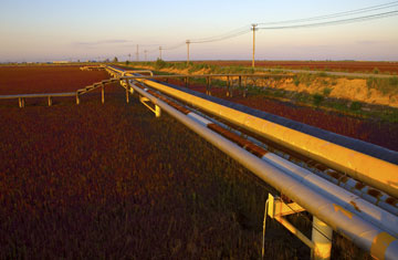 Huyangshu/iStockphoto/Thinkstock