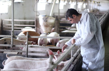 RGtimeline/iStockphoto/Thinkstock