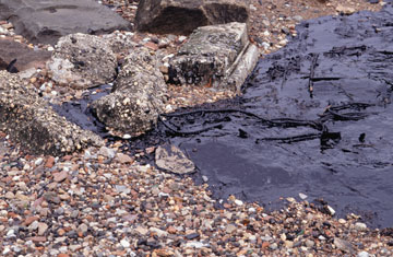 Paul Katz/Photodisc/Thinkstock