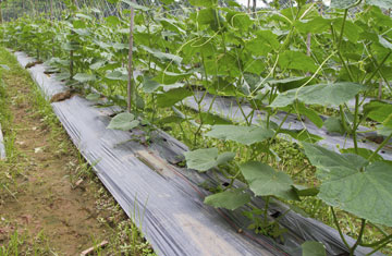 Praiwun/iStockphoto/Thinkstock