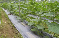 Praiwun/iStockphoto/Thinkstock Praiwun/iStockphoto/Thinkstock