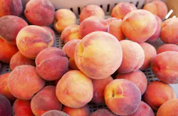 patagonia20/iStockphoto/Thinkstock patagonia20/iStockphoto/Thinkstock