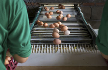 Toa55/iStockphoto/Thinkstock