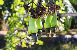 bannerwega/iStockphoto/Thinkstock bannerwega/iStockphoto/Thinkstock