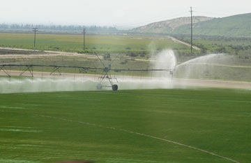 Andrea Gingerich/iStockphoto/Thinkstock