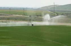 Andrea Gingerich/iStockphoto/Thinkstock Andrea Gingerich/iStockphoto/Thinkstock