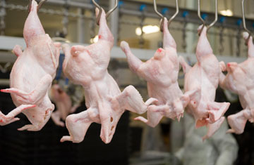 Boris Kaulin/iStockphoto/Thinkstock