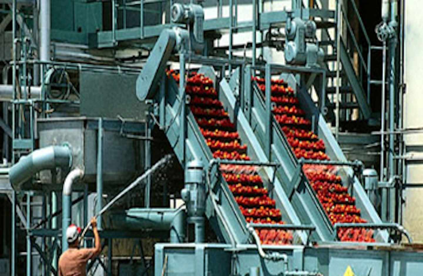 Global demand for food processing machinery on the rise Processing Magazine