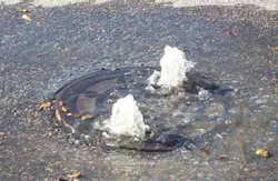 sewage-overflow sewage-overflow