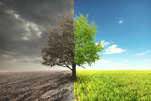olegkalina/iStock