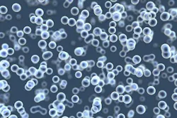 Pobytov E1481733176792 Pobytov E1481733176792