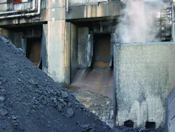 Pet Coke 800 Pet Coke 800