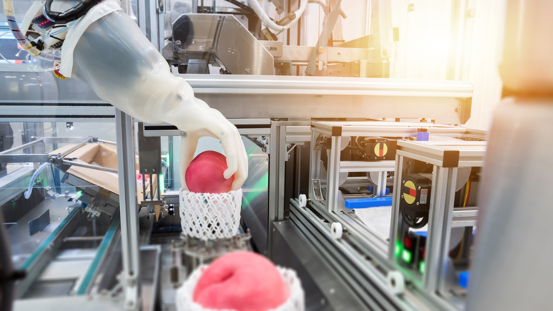 Eus265 Leading The Pack Image