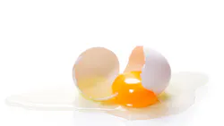 Eggs contain a complex mixture of white and yolk, each with different processing requirements Eggs contain a complex mixture of white and yolk, each with different processing requirements