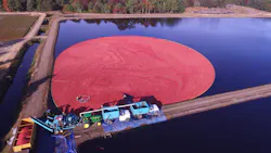 Cranberries ready for harvest at the Lee Brothers farm in Chatsworth, New Jersey, which has been a vital part of the economy for over 160 years. Cranberries ready for harvest at the Lee Brothers farm in Chatsworth, New Jersey, which has been a vital part of the economy for over 160 years.