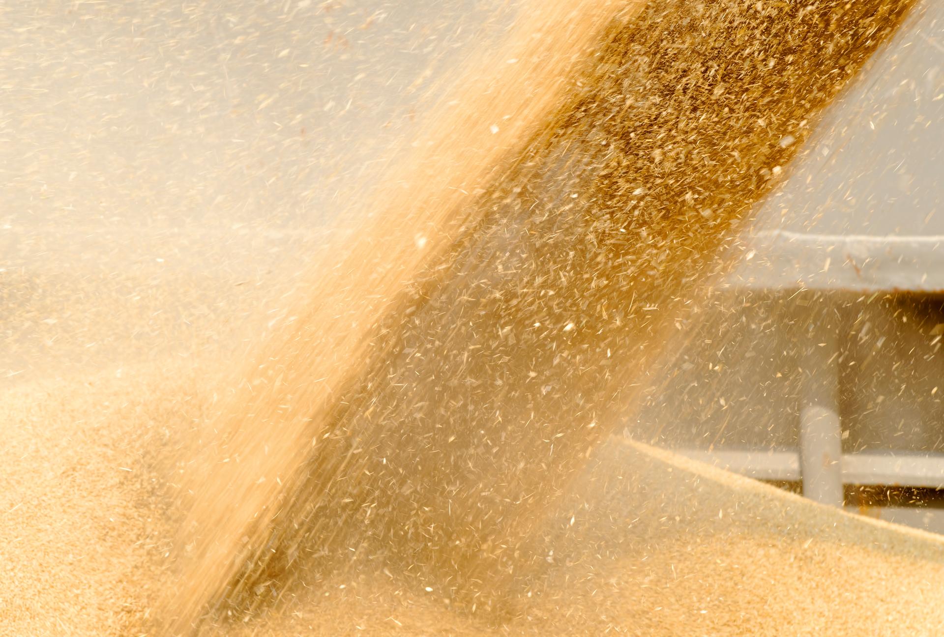 If not effectively controlled, airborne dust generated by common food handling processes can harm the health of workers and create a dust explosion hazard.