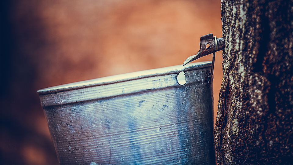 It has only been in the last two or three decades that maple syrup production has become fully mechanized and modernized, with many producers now utilizing a &ldquo;reverse osmosis&rdquo; production process that reduces the time and cost to manufacture maple syrup.