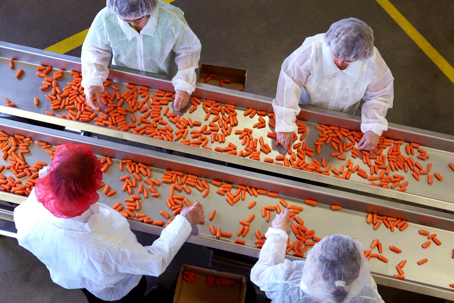 Vibratory conveyors' sanitary construction and ease of cleaning make them ideal for facilities requiring product purity.