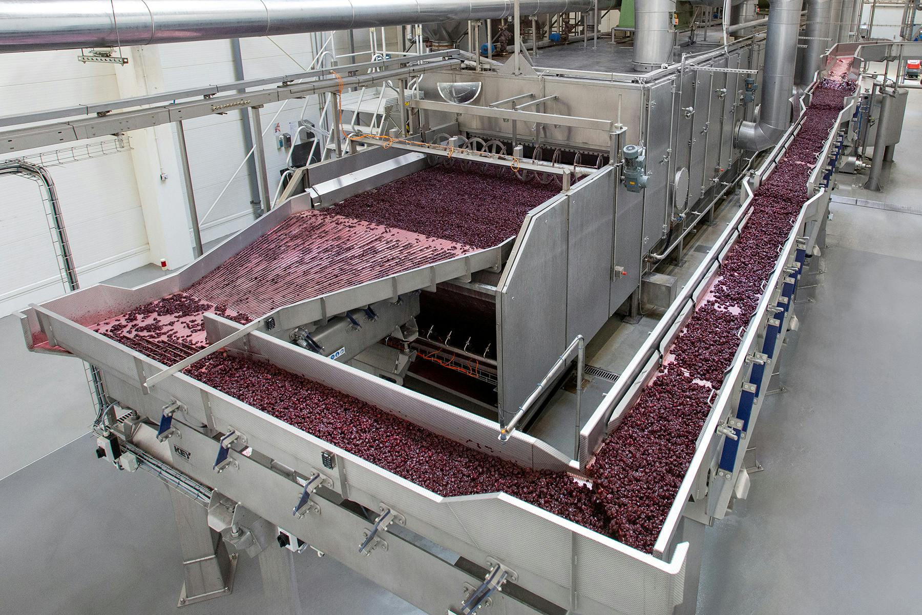 Zarecki's integrated vibratory conveyor system from Key Technology.