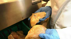 Metal is the most likely contaminant to be introduced during cutting and deboning poultry products due to the prevalence of automation and stainless steel equipment. Metal is the most likely contaminant to be introduced during cutting and deboning poultry products due to the prevalence of automation and stainless steel equipment.