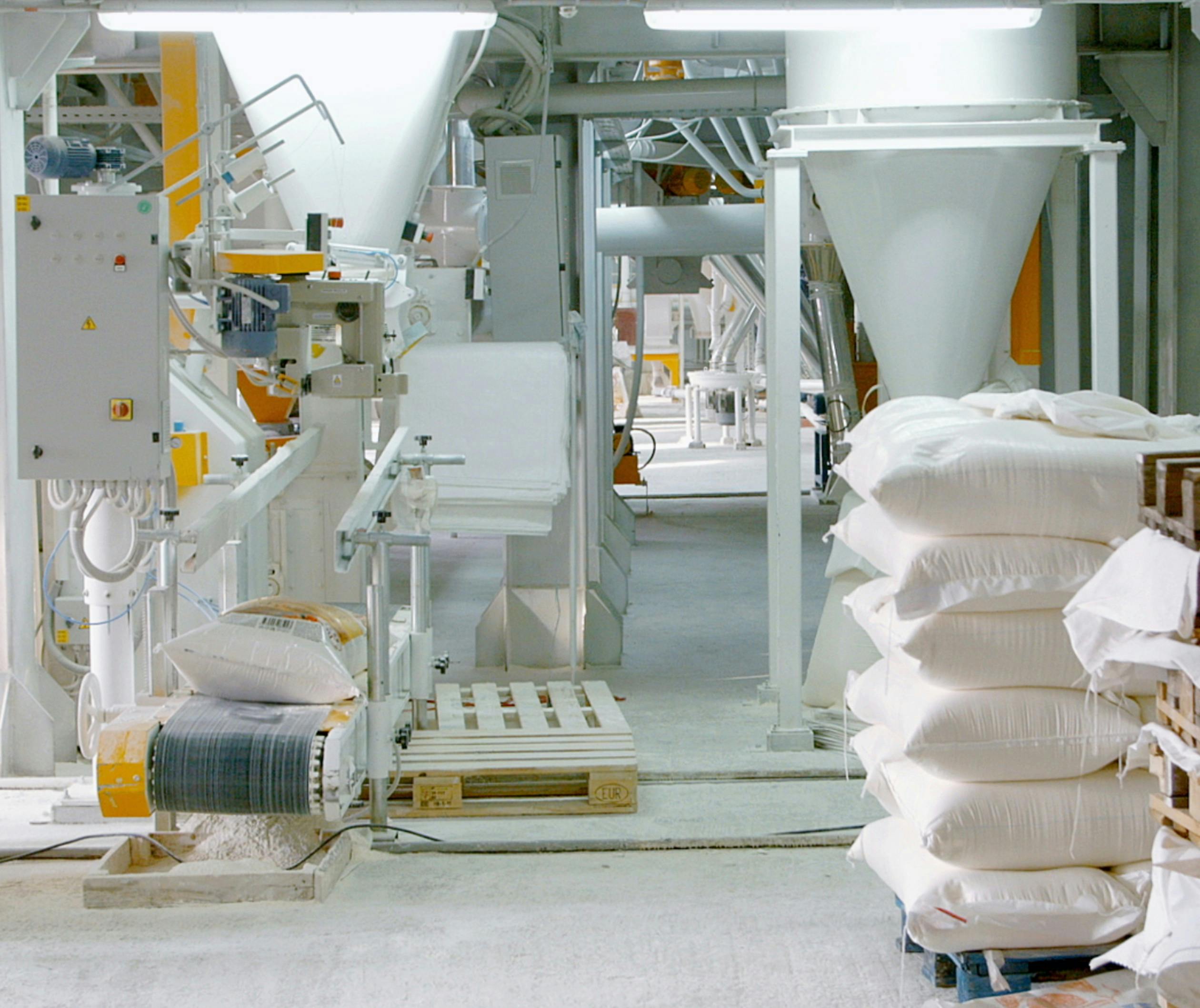 dreamstime_xxl_67611131