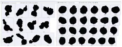 Figure 4. (Left) Software-identified agglomerates — particulate that has a circularity of less than 0.95. (Right) Software-identified primary particles — particulate that has a circularity >0.95. By applying filters for shape parameters such as circularity, software can distinguish between single particles and irregular fused agglomerates. This allows for both visual confirmation and quantitative reporting of agglomerate content, supporting specification setting in applications where structure influences performance. Figure 4. (Left) Software-identified agglomerates — particulate that has a circularity of less than 0.95. (Right) Software-identified primary particles — particulate that has a circularity >0.95. By applying filters for shape parameters such as circularity, software can distinguish between single particles and irregular fused agglomerates. This allows for both visual confirmation and quantitative reporting of agglomerate content, supporting specification setting in applications where structure influences performance.