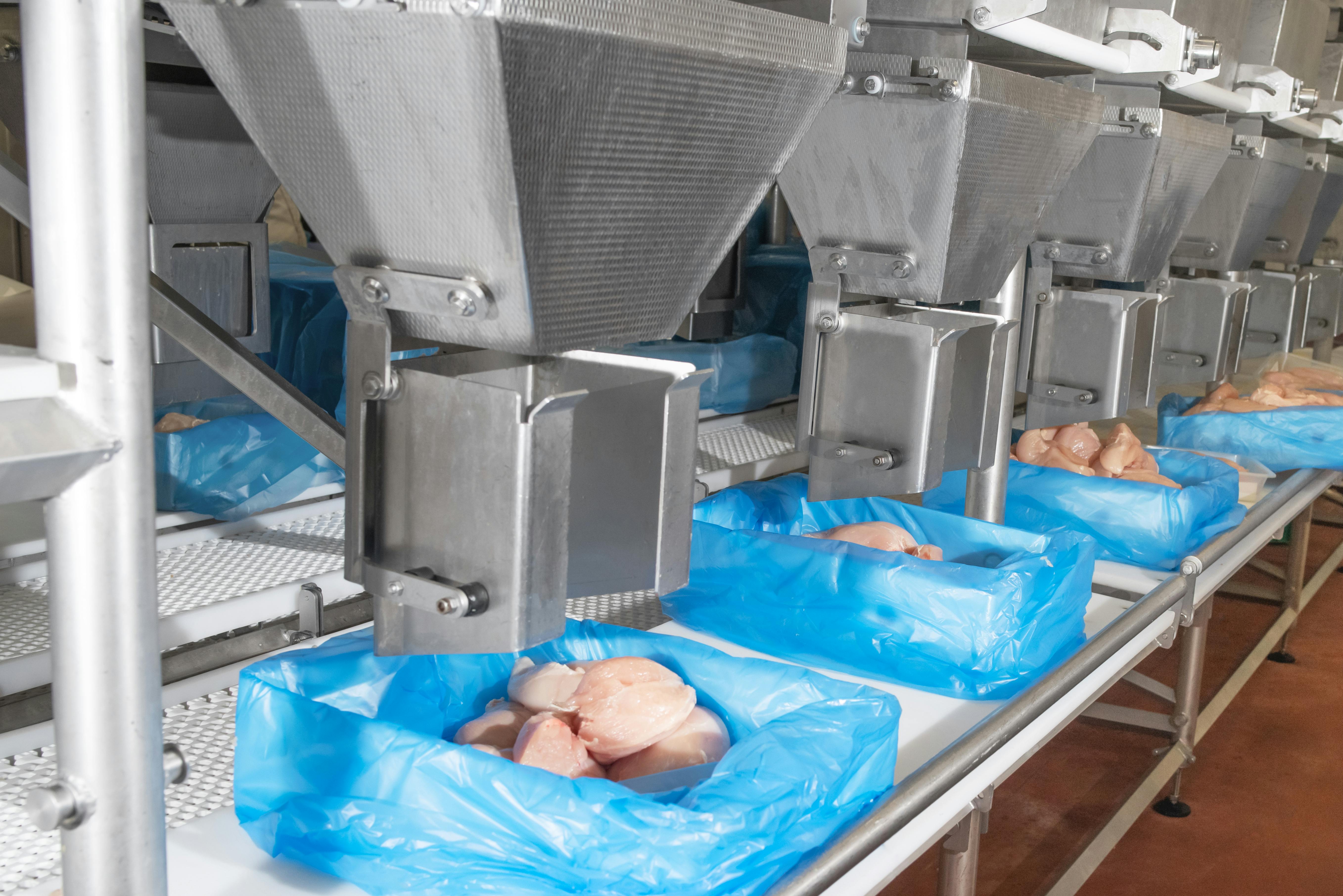 dreamstime_xxl_241890626