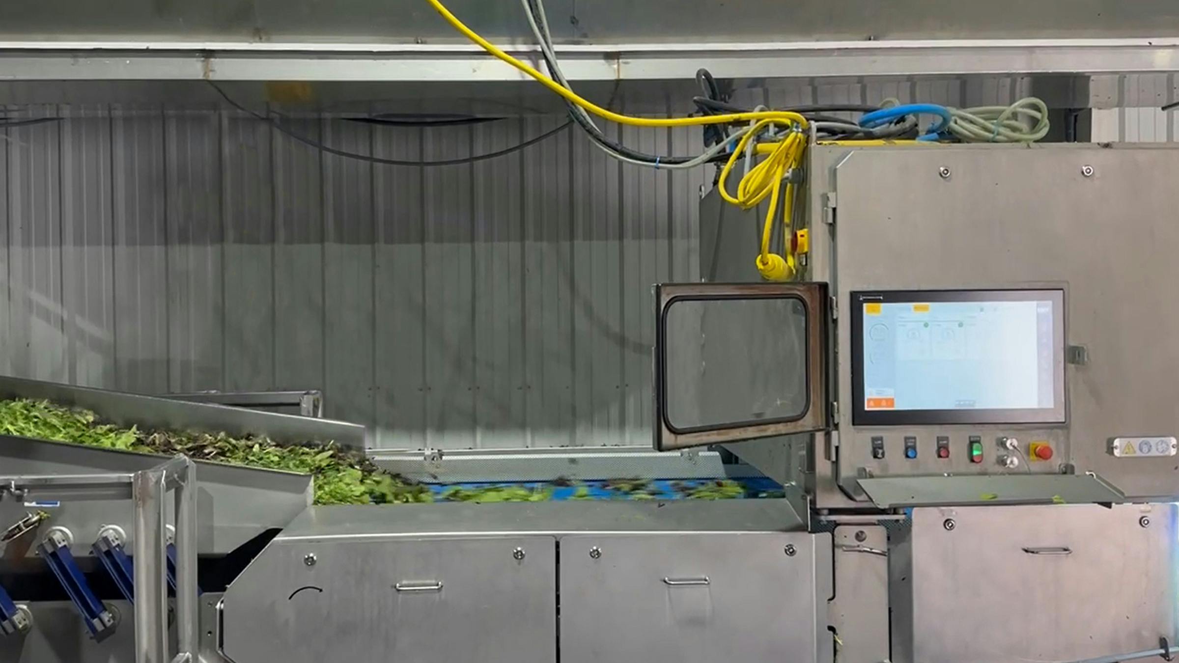 keycompassleafygreens