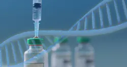 dreamstime_xxl_329070661 dreamstime_xxl_329070661