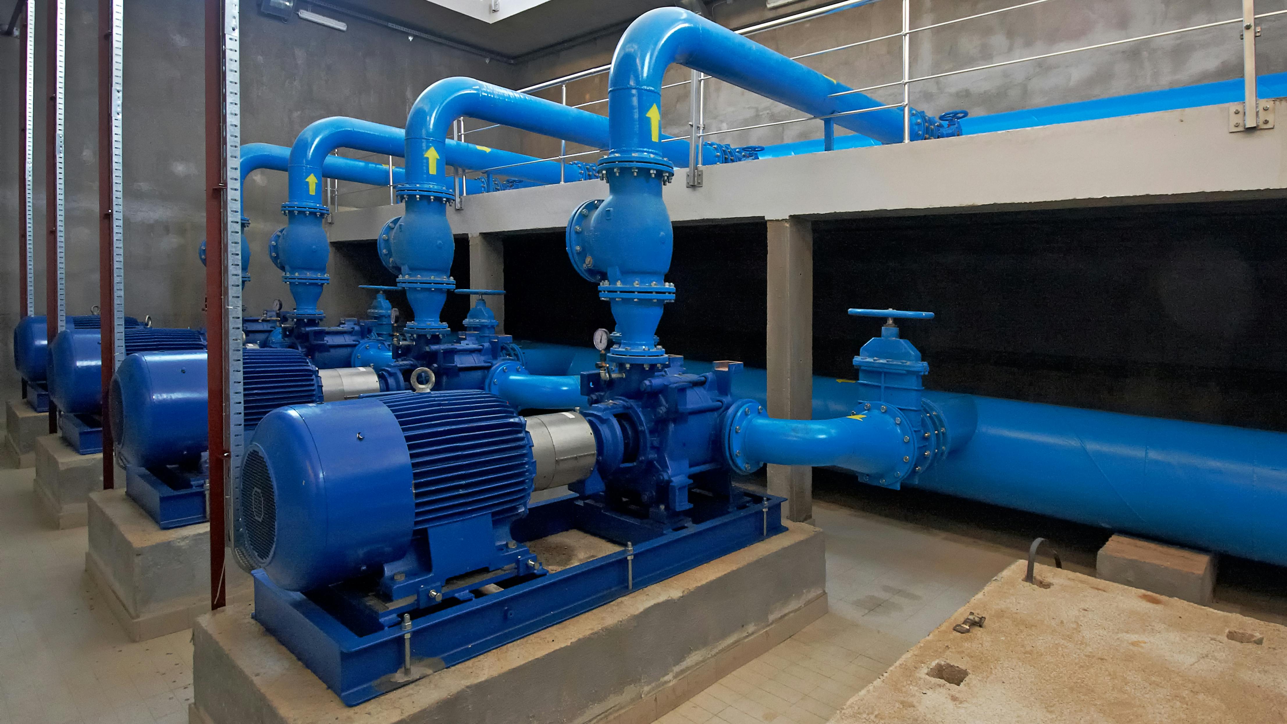 dreamstime_xxl_30450830