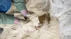 Worker inspecting powder Worker inspecting powder