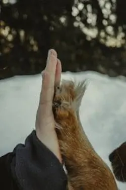 1660243352748 Roseelenajointventures 1660243352748 Roseelenajointventures