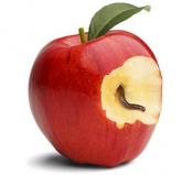 1660243483959 Pm1811webleadimage295x269