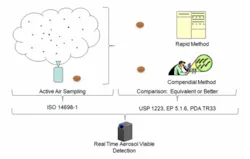 rapid_fig4 rapid_fig4