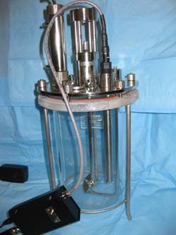 1660254556263 Probeinfermentor Edit