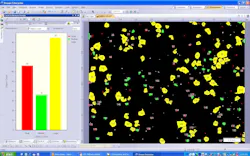 1660254684547 Semi Automatic Particle Detection 1660254684547 Semi Automatic Particle Detection