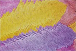 1660254705086 Figure2 Edited 1660254705086 Figure2 Edited