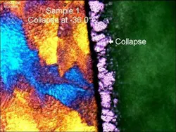 figure1_edited figure1_edited