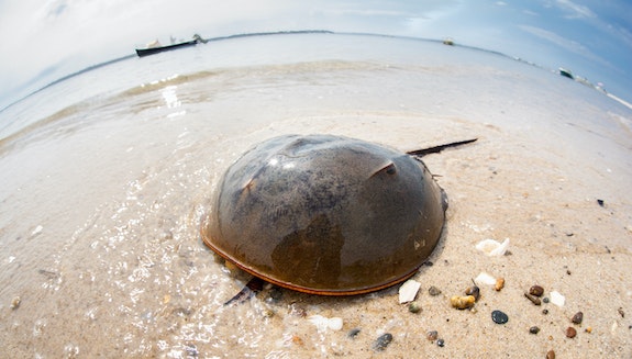 1660317489894 Shutterstock1200446074