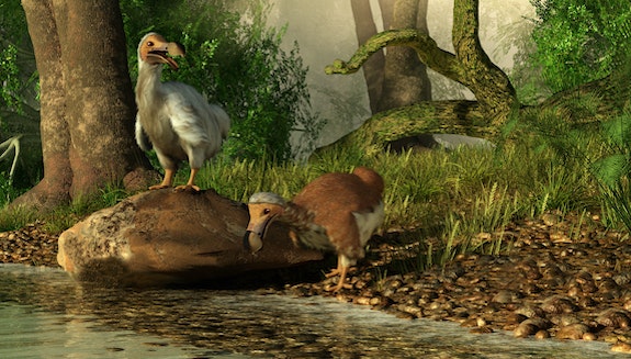 1660317531152 Shutterstock1120206911