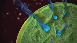 The-art-of-the-science-sb2 The-art-of-the-science-sb2