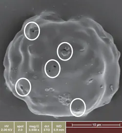 The-art-of-the-science-sb1 The-art-of-the-science-sb1