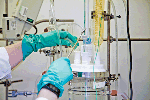 1660318666915 Pm1804development02