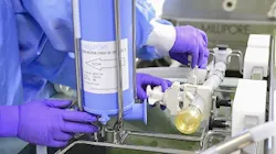 Figure 1 Revised 10 Figure 1 Revised 10